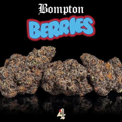 Bomptom Berries